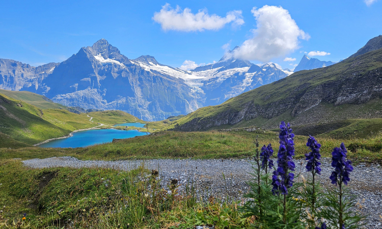 THE BEST PLACES TO VISIT IN SWITZERLAND (TOP 10)